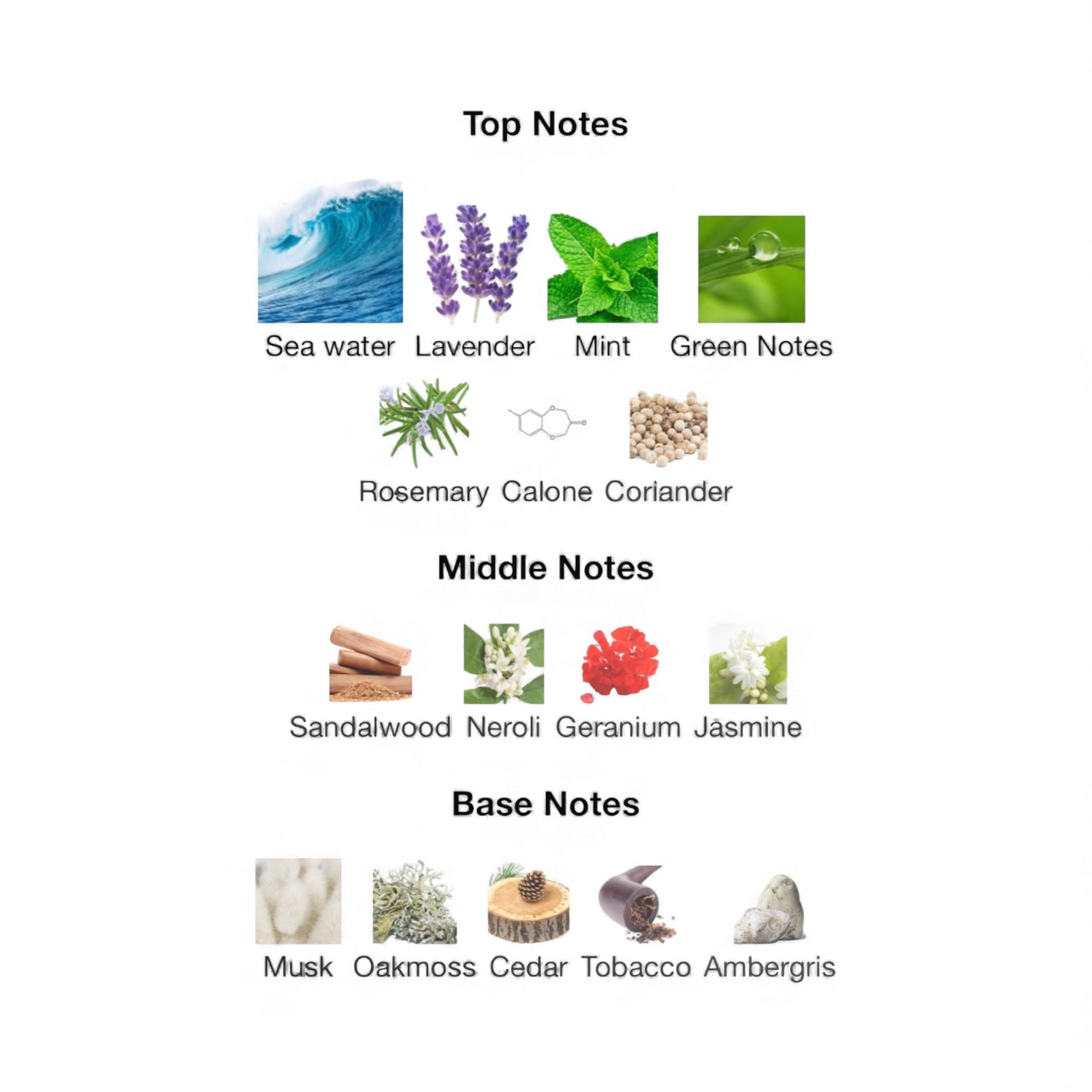 "Date in Antibes" (MMGP) EdP 50ml