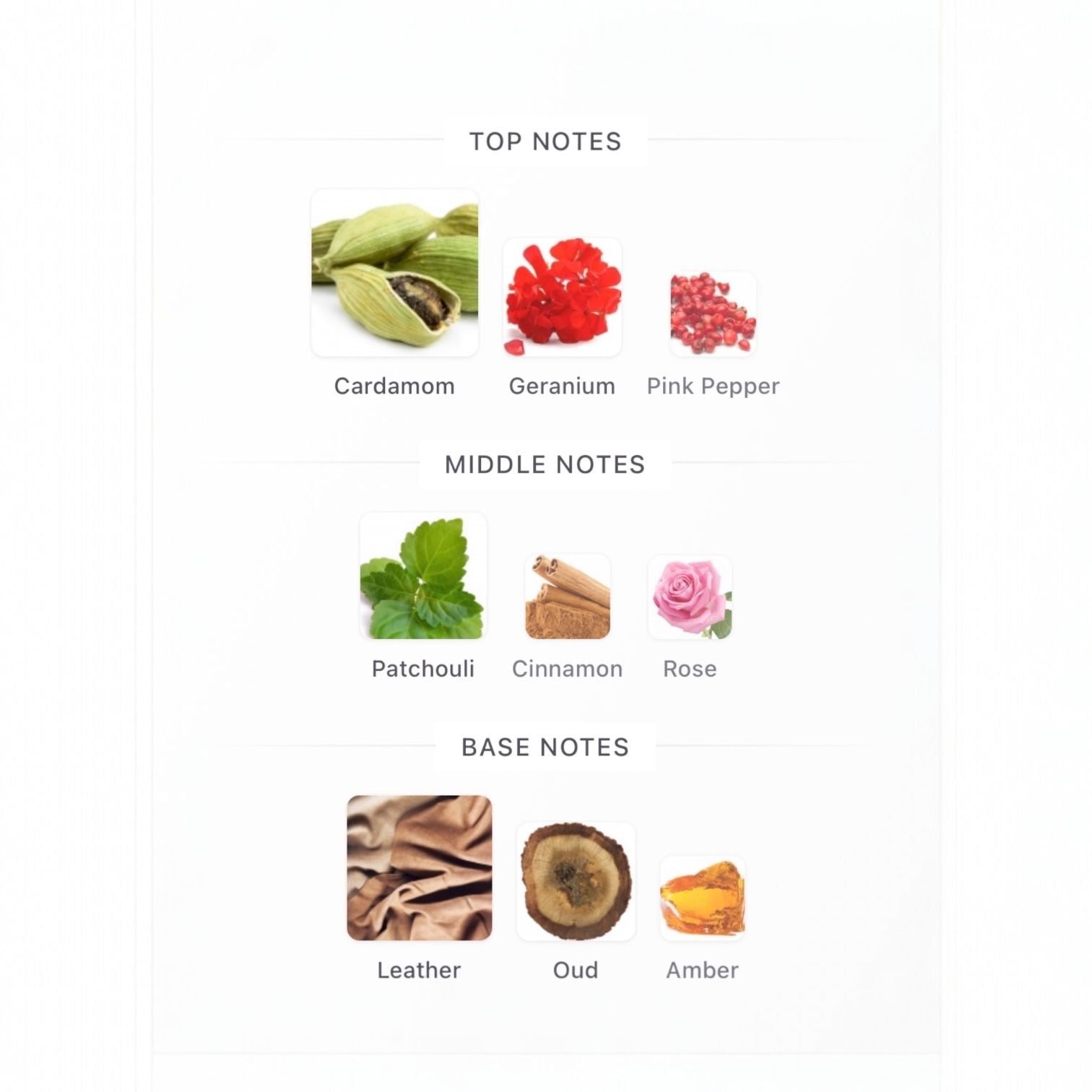 "Lunchtime at the Club" (MMGP) EdP 50ml