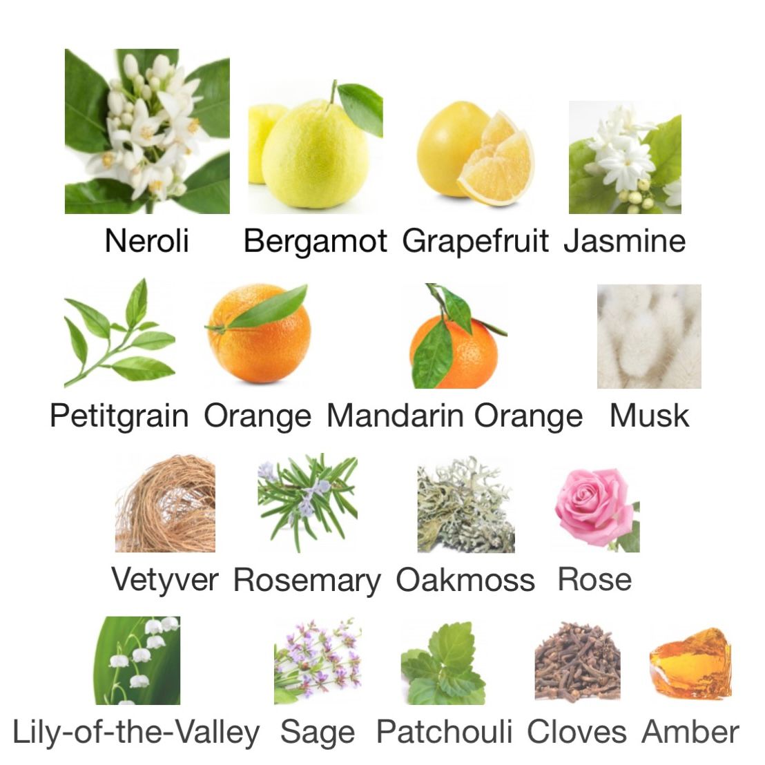 "Afternoon in Capri" (MMGP) EdP 50 ml